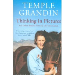 Thinking in Pictures