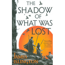 The Shadow of What Was lost