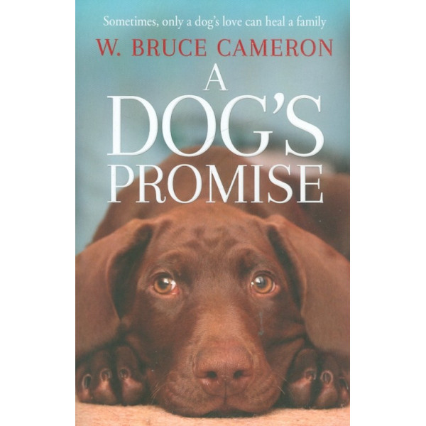A Dogs Promise