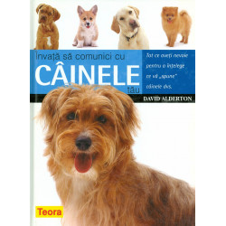 Invata sa comunici cu...