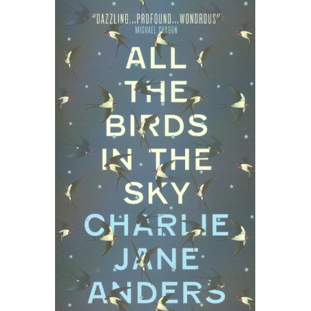 All the Birds in the Sky
