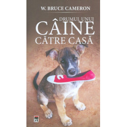 Drumul unui caine catre casa