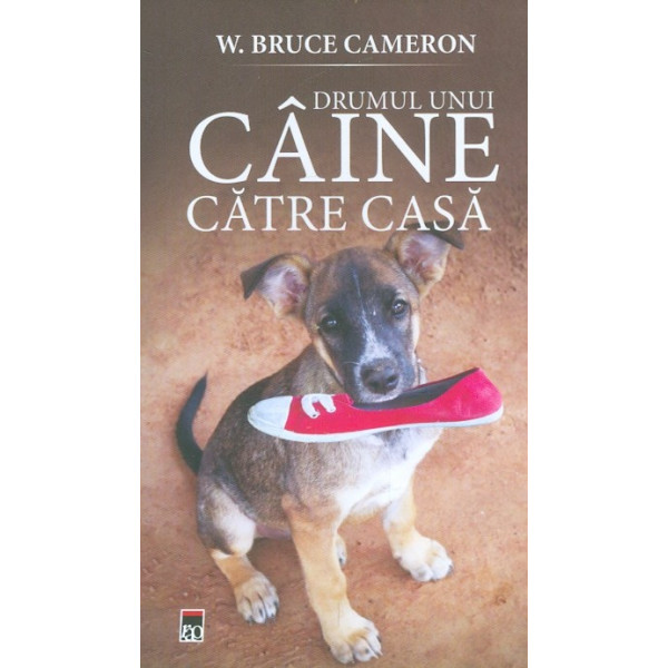 Drumul unui caine catre casa