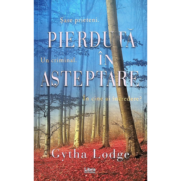 Pierduta in asteptare