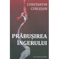 Prabusirea ingerului