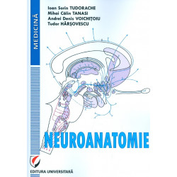 Neuroanatomie