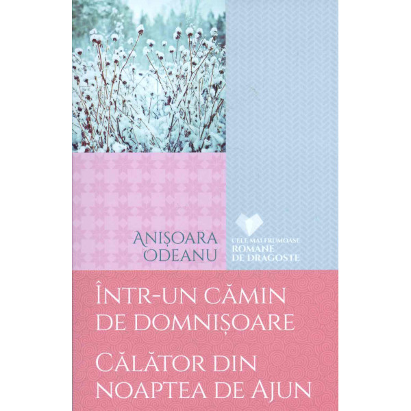 Intr-un camin de domnisoare. Calator din noaptea de Ajun
