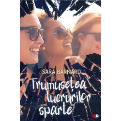 Frumusetea lucrurilor sparte