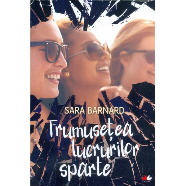 Frumusetea lucrurilor sparte