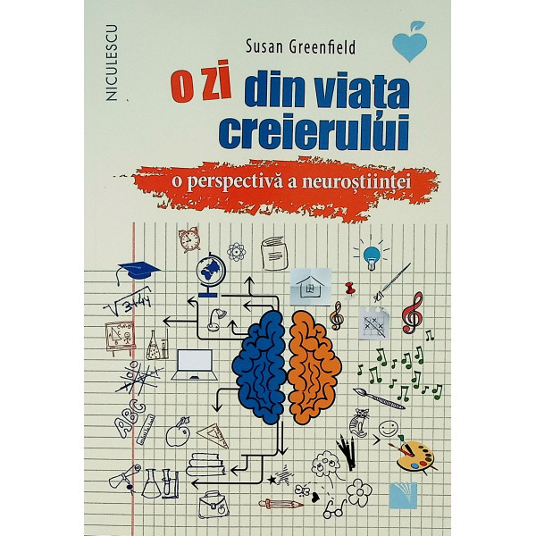 O zi din viata creierului. O perspectiva a neurostiintei