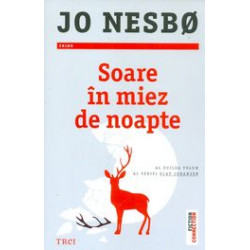 Soare in miez de noapte