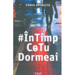 In Timp Ce Tu Dormeai