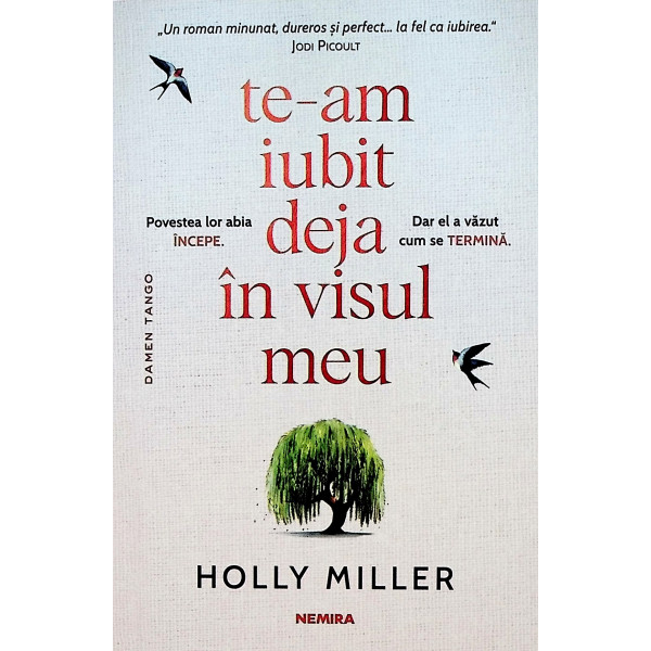 Te-am iubit deja in visul meu