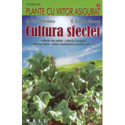 Cultura sfeclei