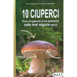 10 ciuperci. Cum sa gasesti...