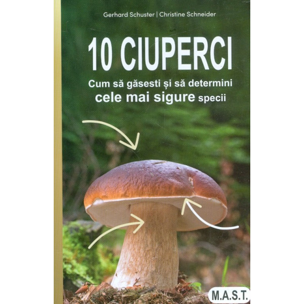 10 ciuperci. Cum sa gasesti si sa determini cele mai sigure specii