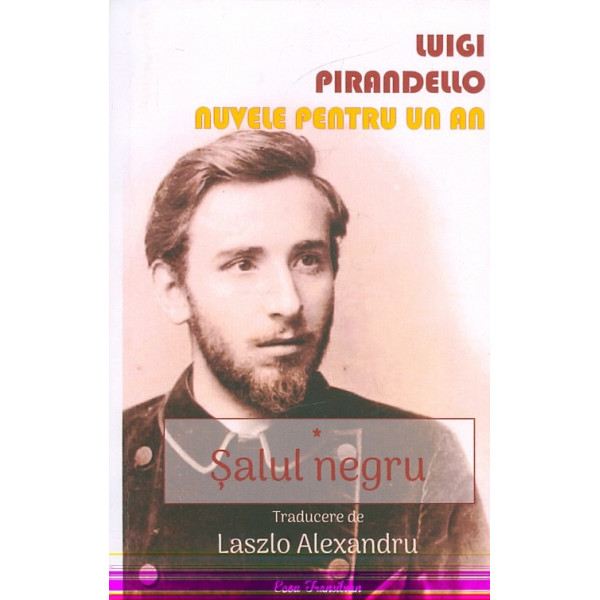 Nuvele pentru un an, vol. I - Salul negru