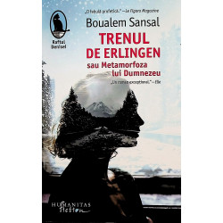 Trenul de Erlingen sau...