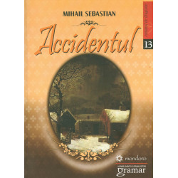 Accidentul