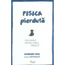 Pisica pierduta