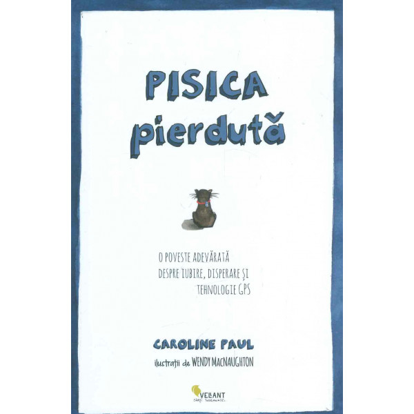Pisica pierduta