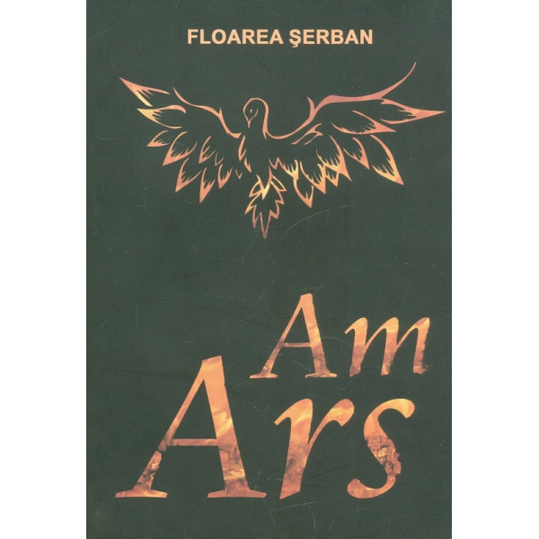 Am ars. Intre vis si realitate