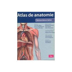 Atlas de anatomie -...