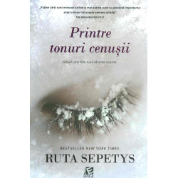 Printre tonuri cenusii