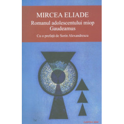 Romanul adolescentului miop