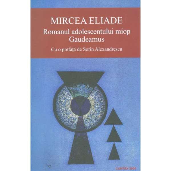 Romanul adolescentului miop