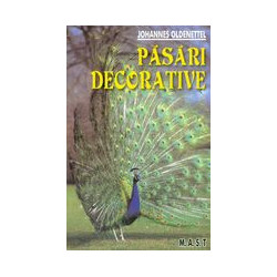 Pasari decorative