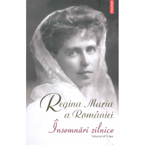 Insemnari zilnice, vol. X - 1 ianuarie - 31decembrie 1928