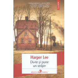 Du-te si pune un strajer