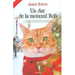 Un dar de la motanul Bob