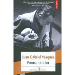 Forma ruinelor
