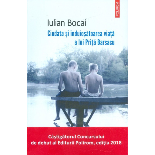 Ciudata si induiosatoarea viata a lui Prita Barsacu