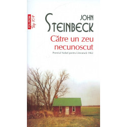 Catre un zeu necunoscut