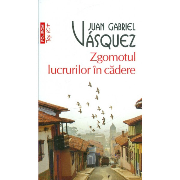 Zgomotul lucrurilor in cadere