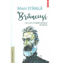 Brancusi sau cum a invatat...