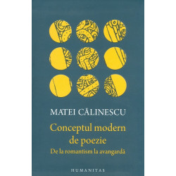 Conceptul modern de poezie....