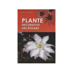 Plante decorative urcatoare