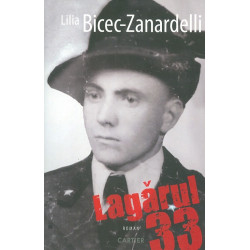 Lagarul 33