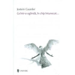 Ca intr-o oglinda, in chip...