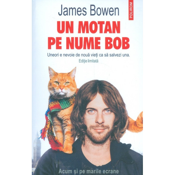 Un motan pe nume Bob