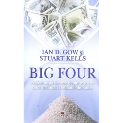 Big Four. Profesionistii de...