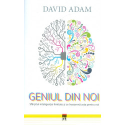 Geniul din noi. Sfarsitul...