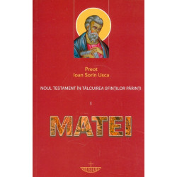 Noul Testament in talcuirea...