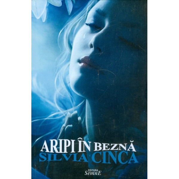Aripi in bezna
