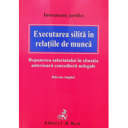 Executarea silita in...