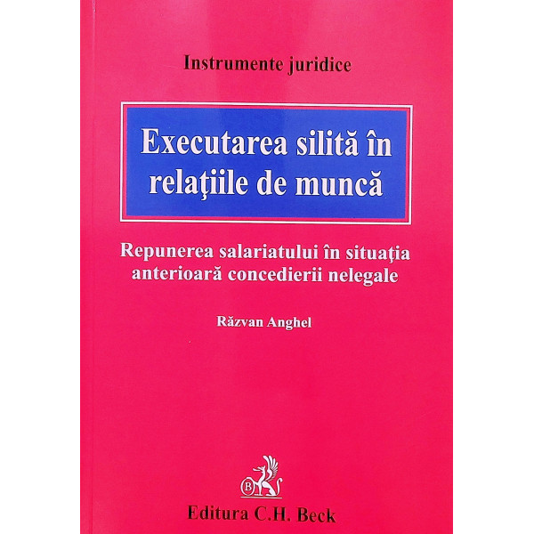 Executarea silita in relatiile de munca. Raspunderea salariatului in situatia anterioara concedierii nelegale